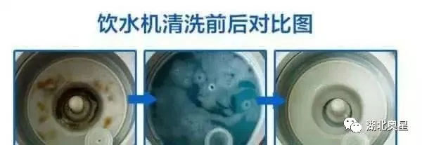 您的飲水機(jī)多久沒有清洗了？快點開看看吧！