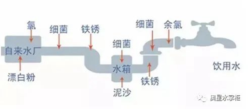【小陽人發(fā)燒必備】居家自愈：多飲水